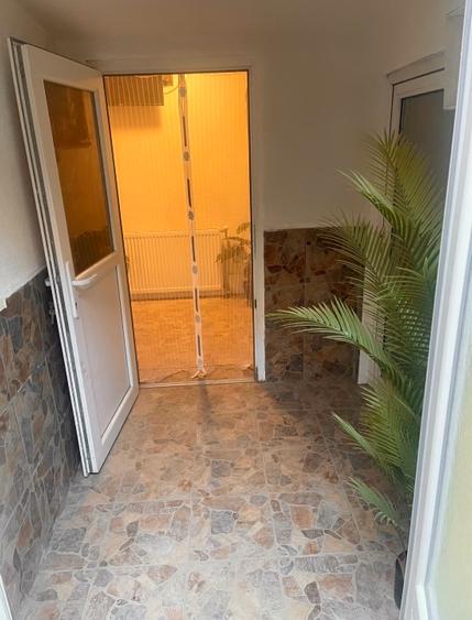 Casa individuală Gavril Musicescu . Timisoara  - 9