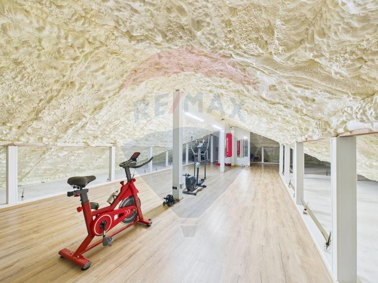 Casa superba de vanzare in Domnesti/Ciorogarla - 17