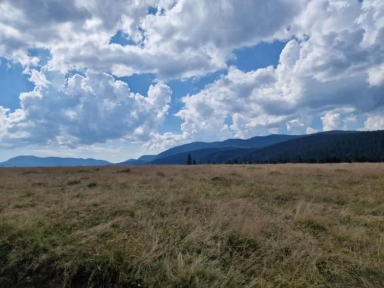 Vand teren si casa istorica in Giurcuta de Sus pe malul lacului - 6