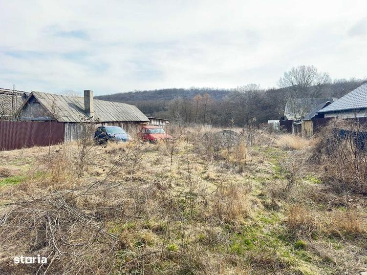 Teren intravilan la strada si padure in Traian - ocazie rara - 4