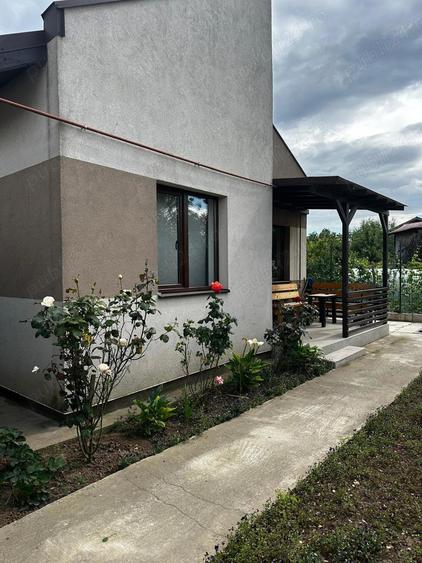 Casa deosebita Pantelimon - 1