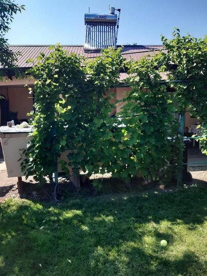 Casa de vanzare com.Seaca Teleorman - 7