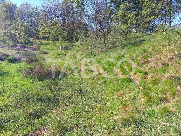 Teren intravilan 4280 mp acces la drum si utilitati zona deosebita - 8