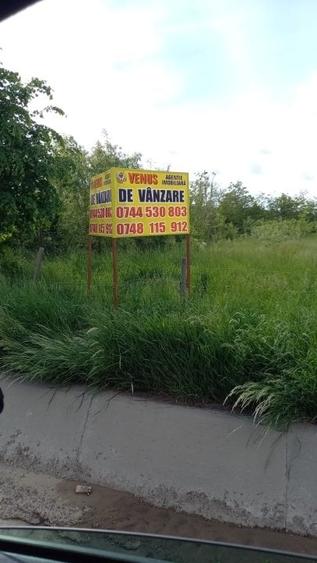 Teren intravilan in Catamarasti Deal - 1