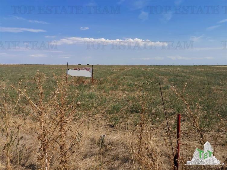 Teren zona Next Dovinot, Mihailesti  DN6 5619mp D - 41.50m - 1