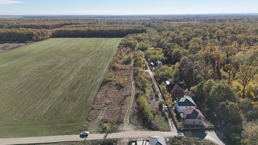 Snagov padure - Teren intravilan cu PUZ aprobat - 6