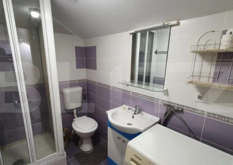 Apartament la casa,1 camera, 30 mp, zona strazii Artelor - 2