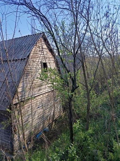 RECO TEREN GENEROS CU CABANA - 4