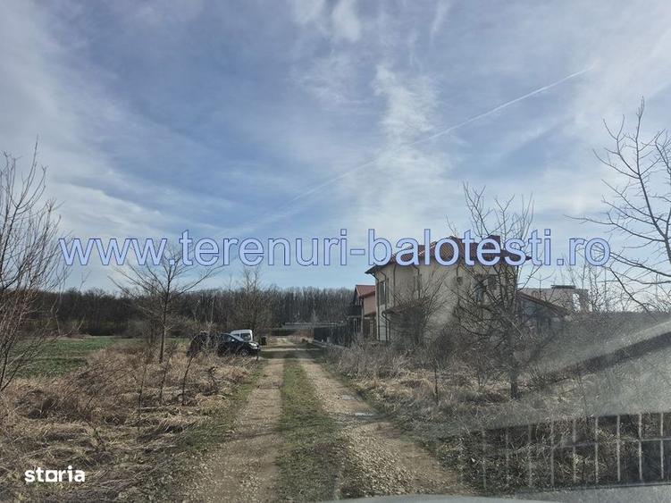 Teren cu gaz si electrica-hotar, 28000 E, padure - 10