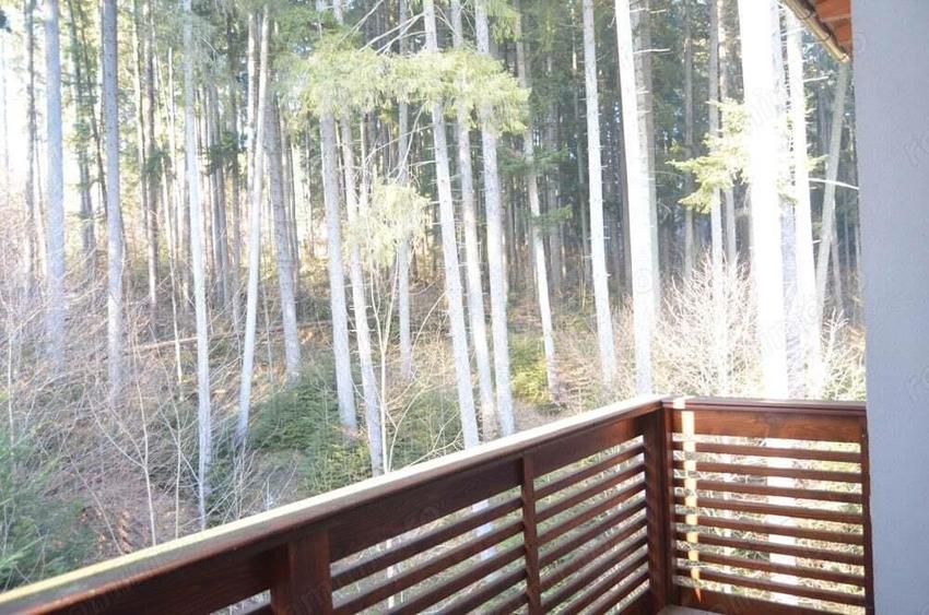 Garsoniera speciala situata in Predeal,Partia Clabucet . - 7