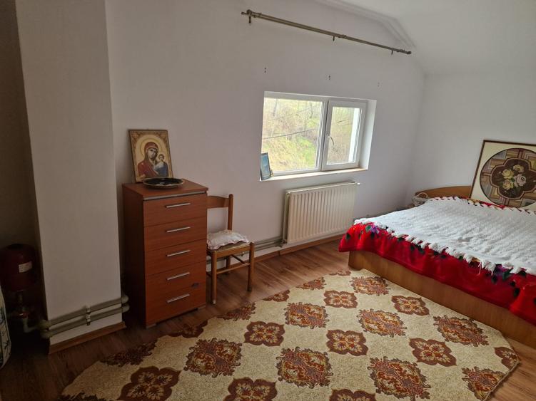 Vila P+E si teren intravilan 1,5Ha,cu zavoi+iaz,lac peste si livada-investitie - 12