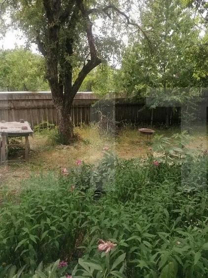 Casa batraneasca de vanzare Brae?ti, jude?ul Boto?ani - 3