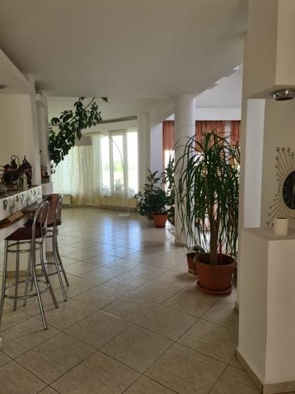 Casa individuala, 325 mp, teren 6475 mp, Vetis, Satu Mare! - 9