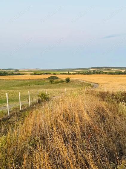 AV655 Teren-Balta 6.663mp, in Masloc-Alios, IDEAL INVESTITIE - 3