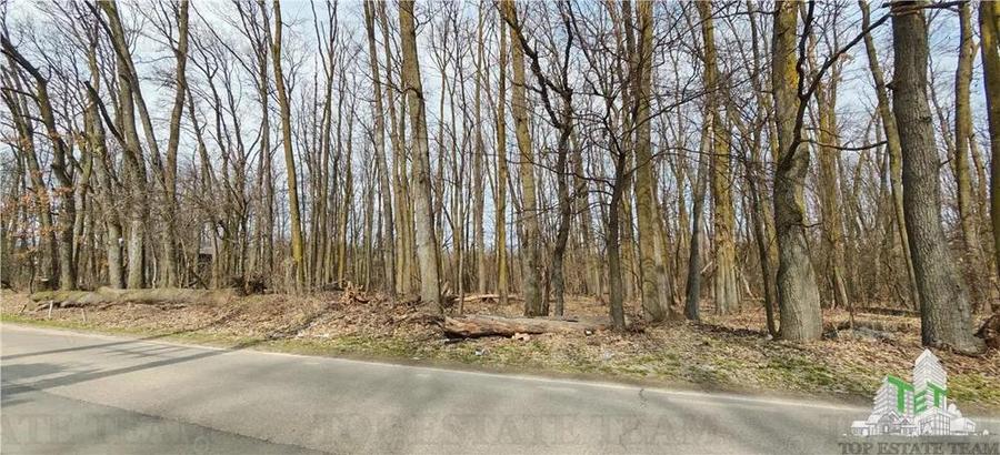 Teren Padure in Corbeanca - Radarului - 1