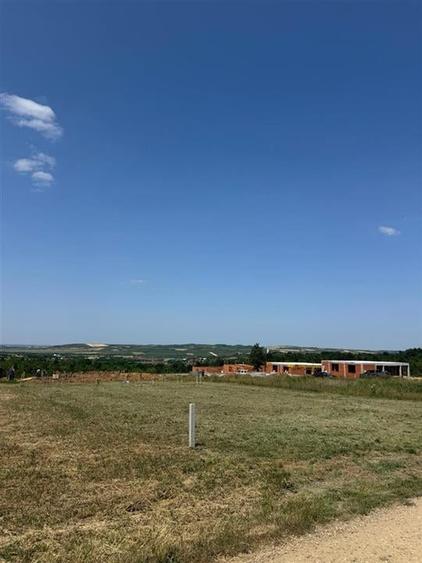 RECO terem?n zona Paleu - 2