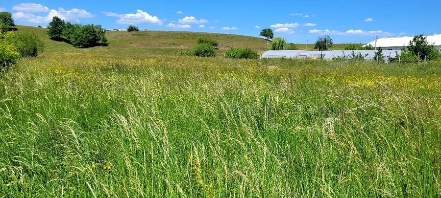 Teren Intravilan Podul Olt - 1