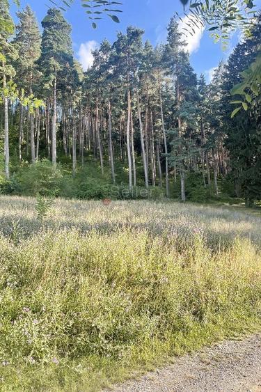 Teren zona Livezii - 5