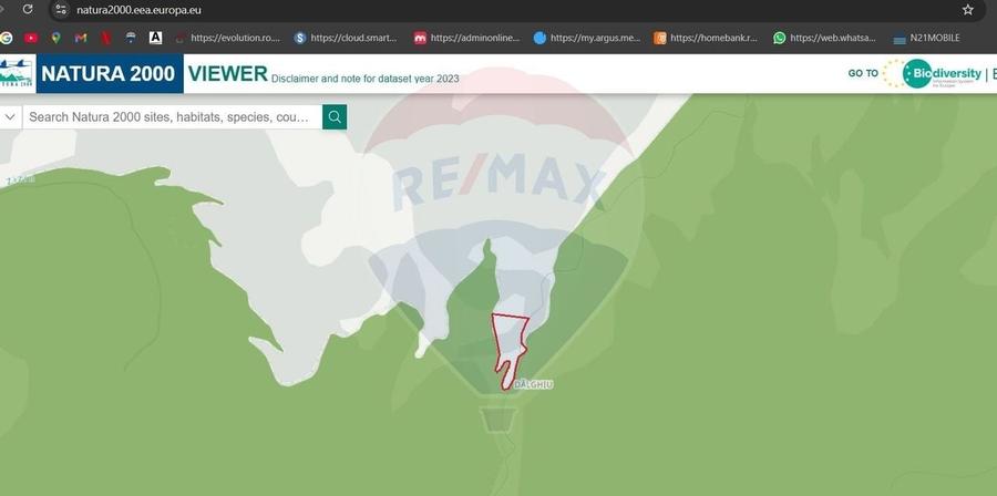 Teren 8500 mp, Valea Dalghiului - Dalghiu - vedere catre Ciucas - 7