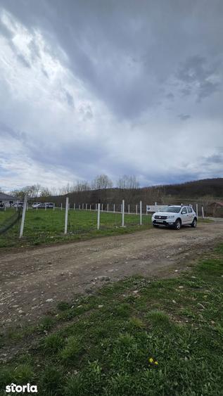 Teren drept ca-n palma - 1