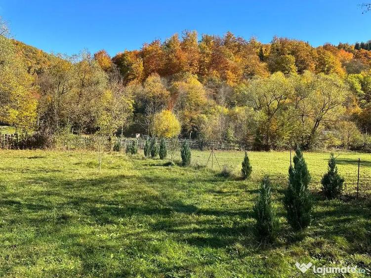 Teren de vanzare Cuiejdel 1350 mp - 4