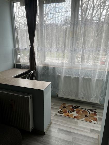 Apartament 2 camere decomandat tip An Rogerius , Corneliu Coposu 15 - 8