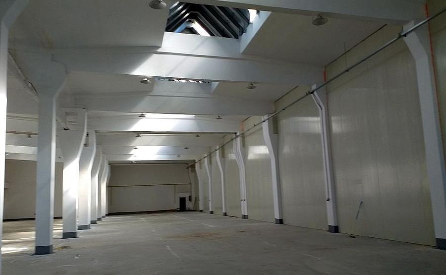 Hala service auto de inchiriat Jilava - Șoseaua Giurgiului - 4