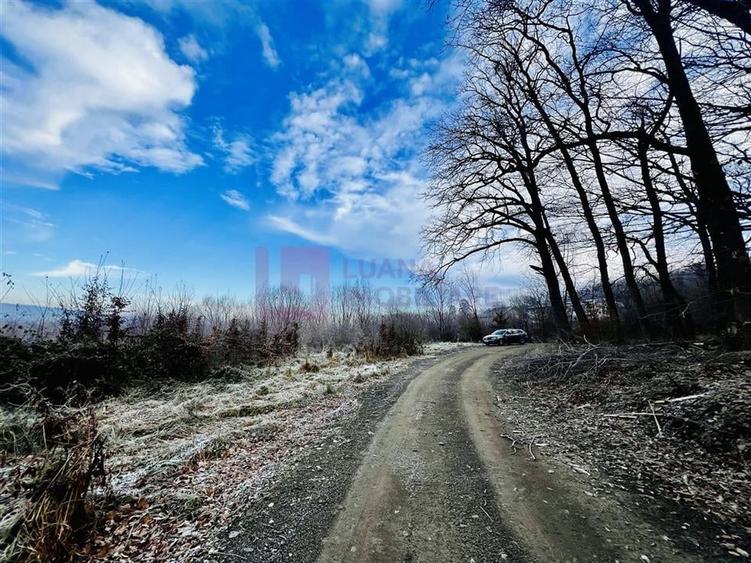 Teren intravilan | 16.100 mp | cartier de case | Cisnadie - 3