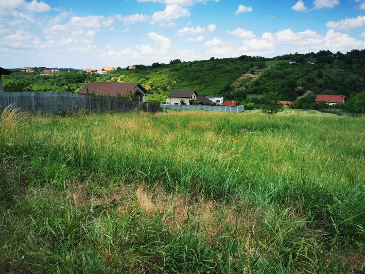 Teren intravilen 2600 mp pe str Livezilor - 2