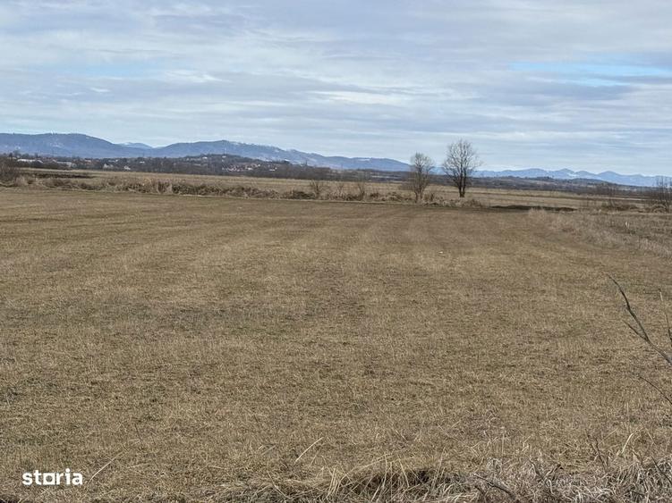 Teren extravilan | Radau?i zona Jalcau | 3.900 mp | 41 m front - 2