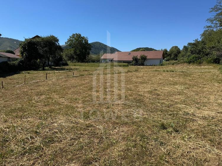 4 Parcele de vanzare | Rasinari - 7