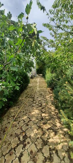 Vânzare proprietate deosebită în satul Găgeni, comuna Păulești, județul Prahova - 6