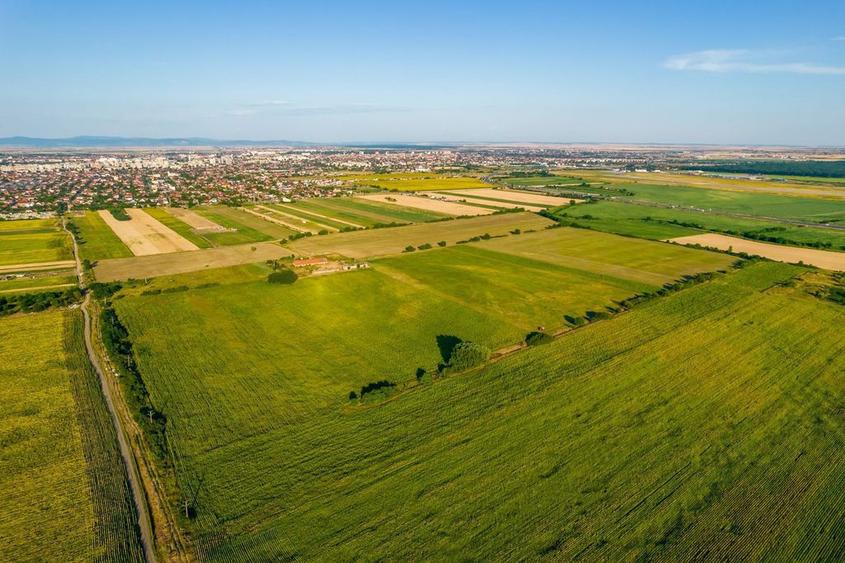 Teren de 10000 mp, în Bujac