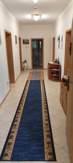 Casa de vacanta in comuna Dorobantu, judetul Calarasi - 2