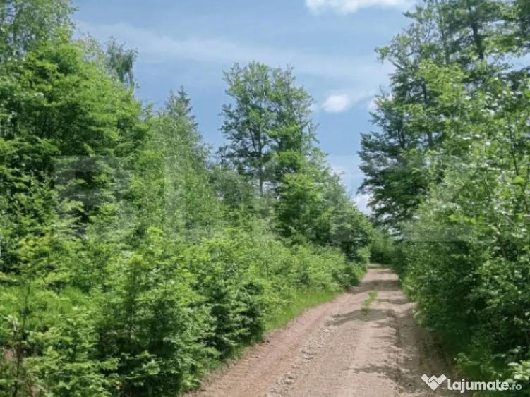 Teren intravilan de vanzare, 12000mp, Trance?ti, Scari? - 1