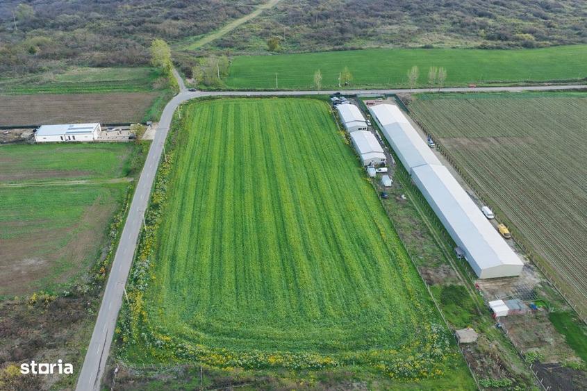 Teren intravilan 7.811 mp | Ciolpani, Ilfov | Acces drum public - 4