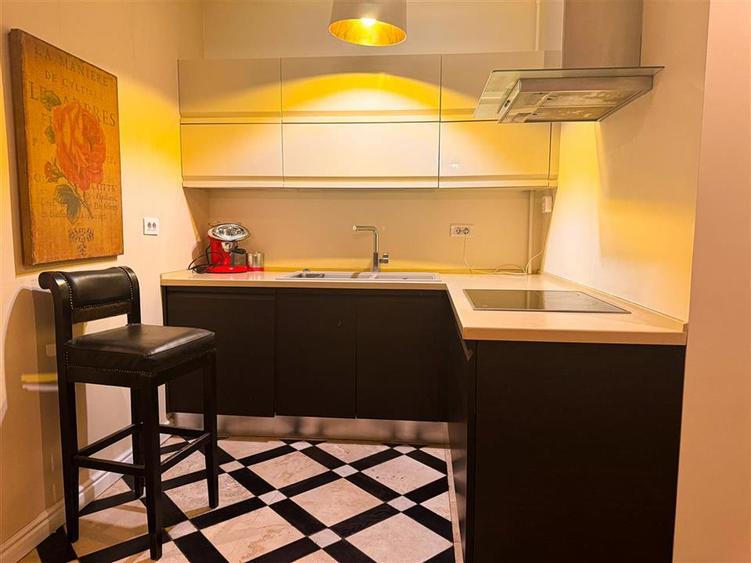 Apartament 2 camere de inchiriat Herastrau Nordului - 13