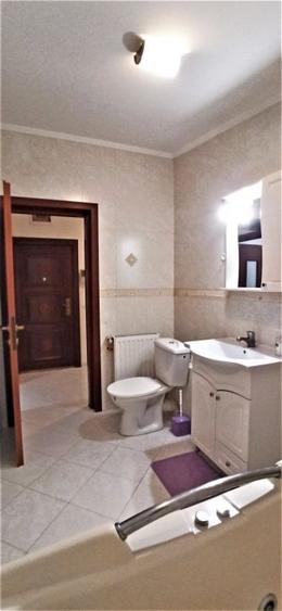 Studio 60mp, de inchiriat in zona Dacia in bloc din 2008 - 14