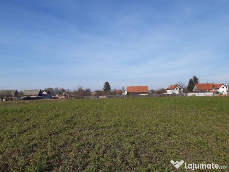 Teren intravilan central utilitati construibil Lunca Calnicului 2325mp. - 1