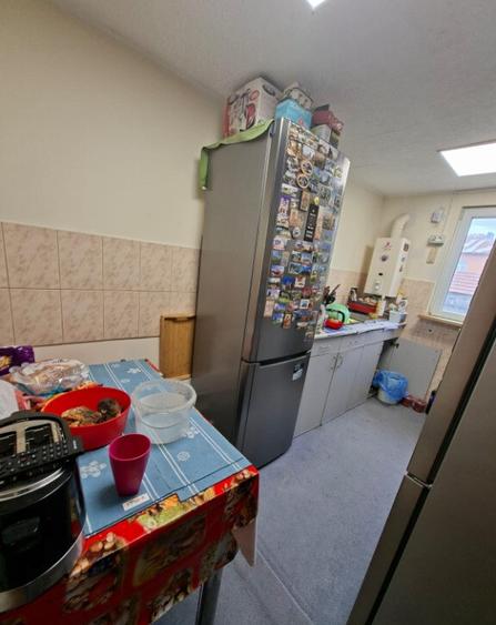 CasaHintesti, Arges, 5 km de Pite?ti, 2.000 mp teren, zona lini?tita - 9