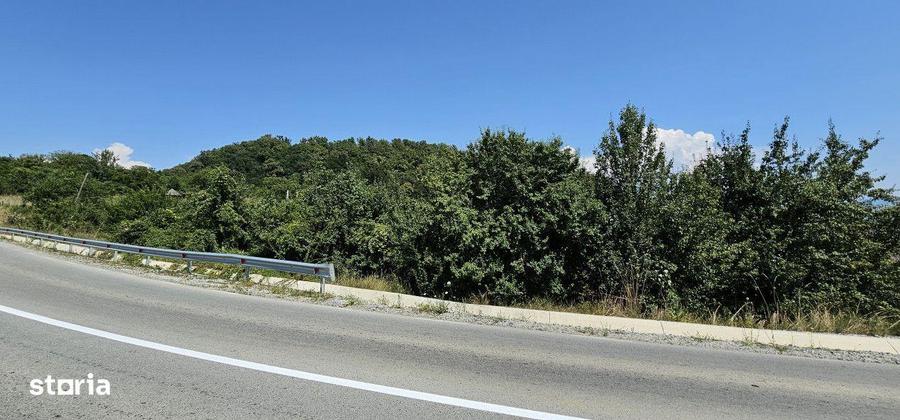 1300mp de Teren in Valea Jelnei, Bistrita - 3