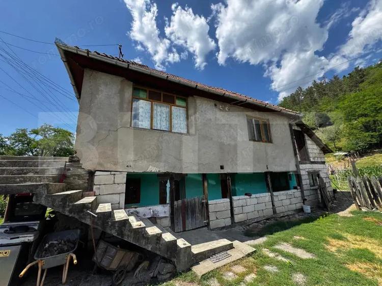 Casa cu 6000 mp teren, Poiana Ampoiului - Metes - 8