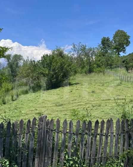 Teren intravilan, deschidere la drum Bezdead, Dambovi? - 2