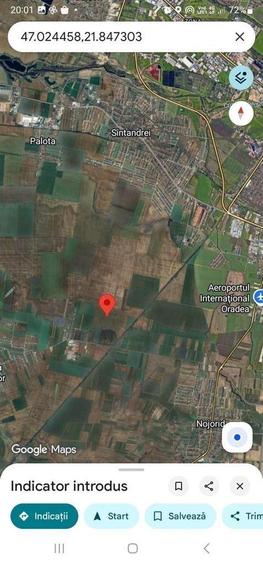 Teren extravilan Livada de Bihor - 3