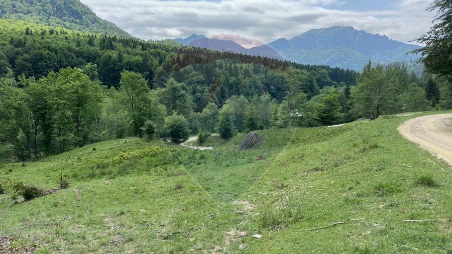 Teren 8500 mp, Valea Dalghiului - Dalghiu - vedere catre Ciucas - 9