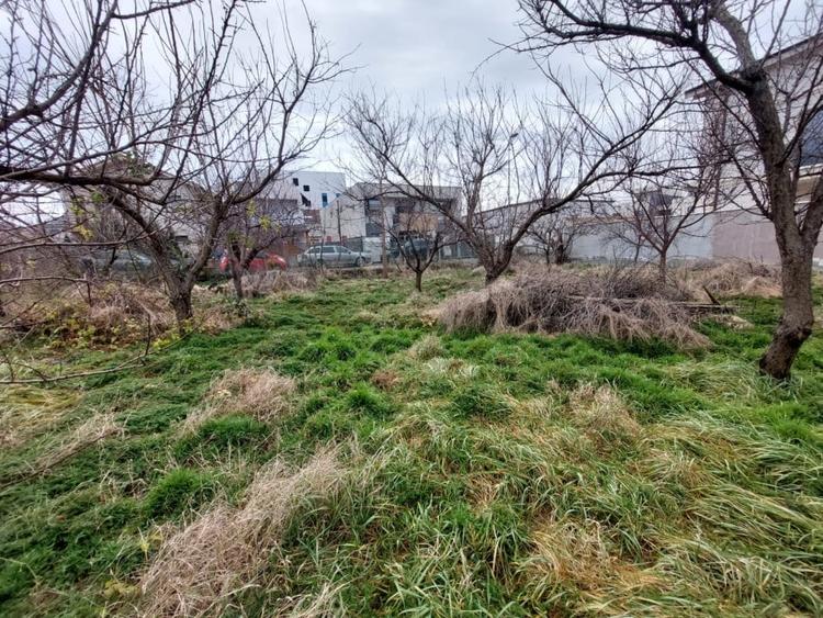 TEREN 1110mp  |  KAMSAS  |  CONSTANTA - 2