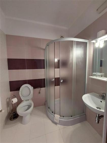 Casa cu 13 camere, pentru activitati diverse, in Micalaca - 10