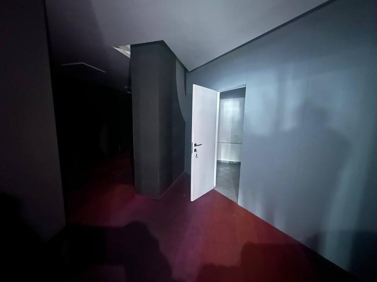 Spațiu comercial de închiriat în Trivale - 233mp - 5