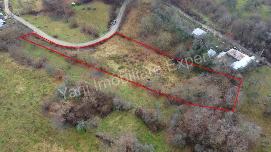 Teren de vanzare in comuna Valea Iasului, jude? Arge?. - 10