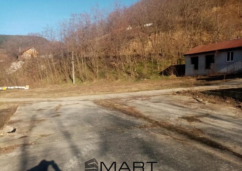 Teren extravilan 7432 mp, cu cabana de lemn Capalna AB - 7